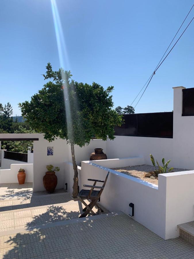 לינה וארוחת בוקר פדרוגאו גראנדה Casa Da Oliveira מראה חיצוני תמונה