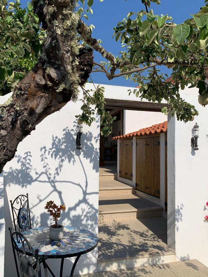 לינה וארוחת בוקר פדרוגאו גראנדה Casa Da Oliveira מראה חיצוני תמונה