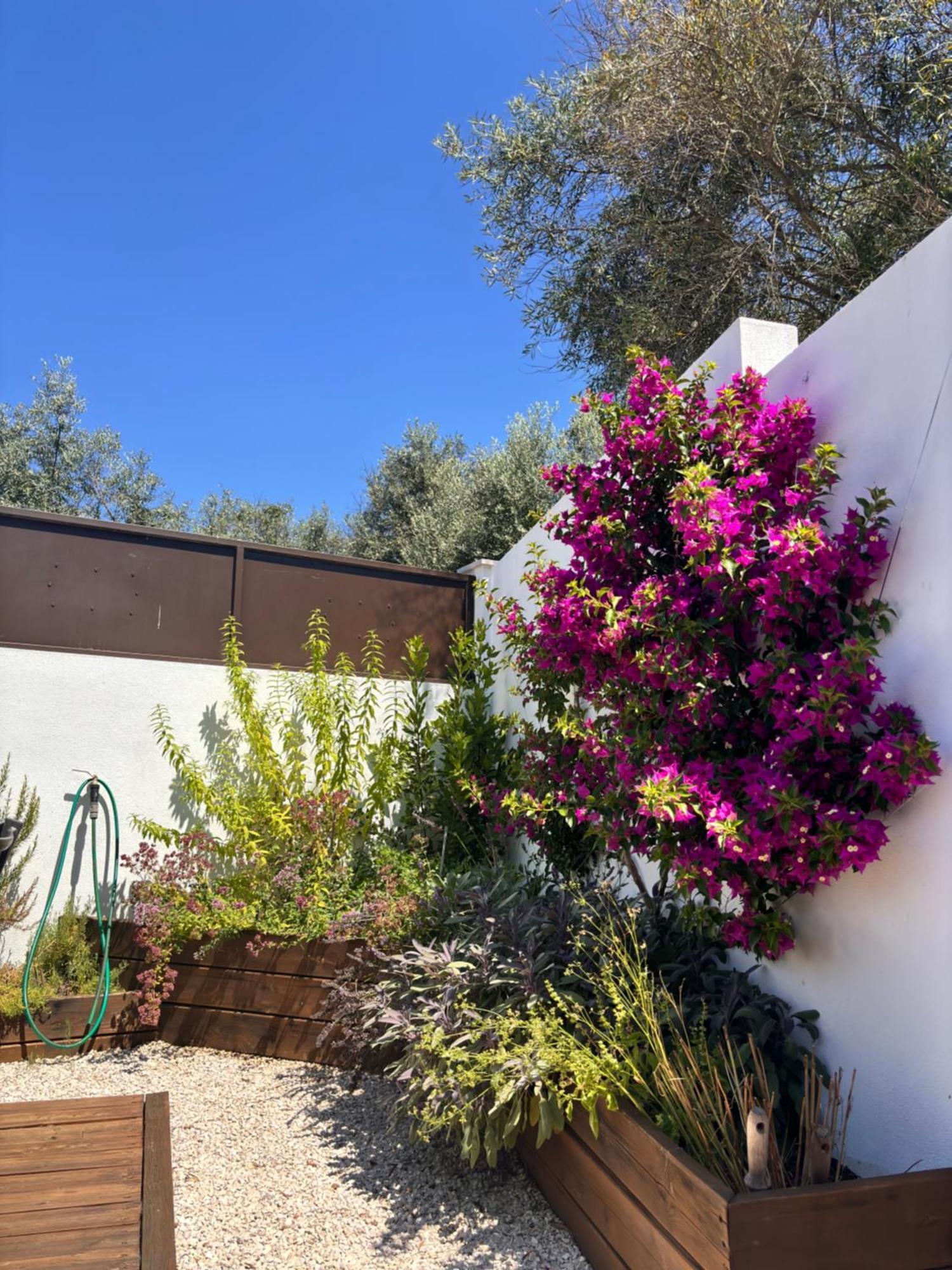 לינה וארוחת בוקר פדרוגאו גראנדה Casa Da Oliveira מראה חיצוני תמונה