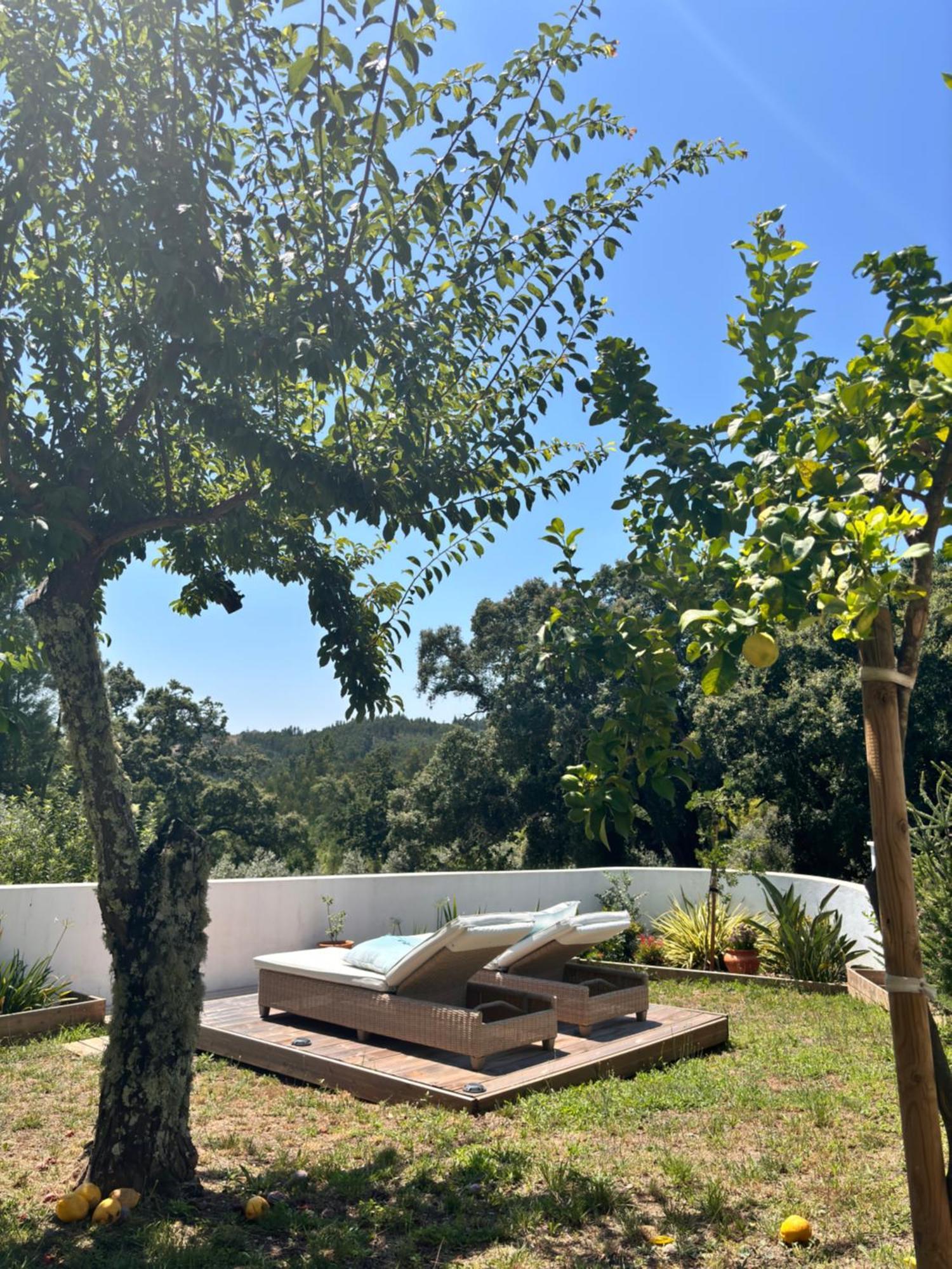 לינה וארוחת בוקר פדרוגאו גראנדה Casa Da Oliveira מראה חיצוני תמונה