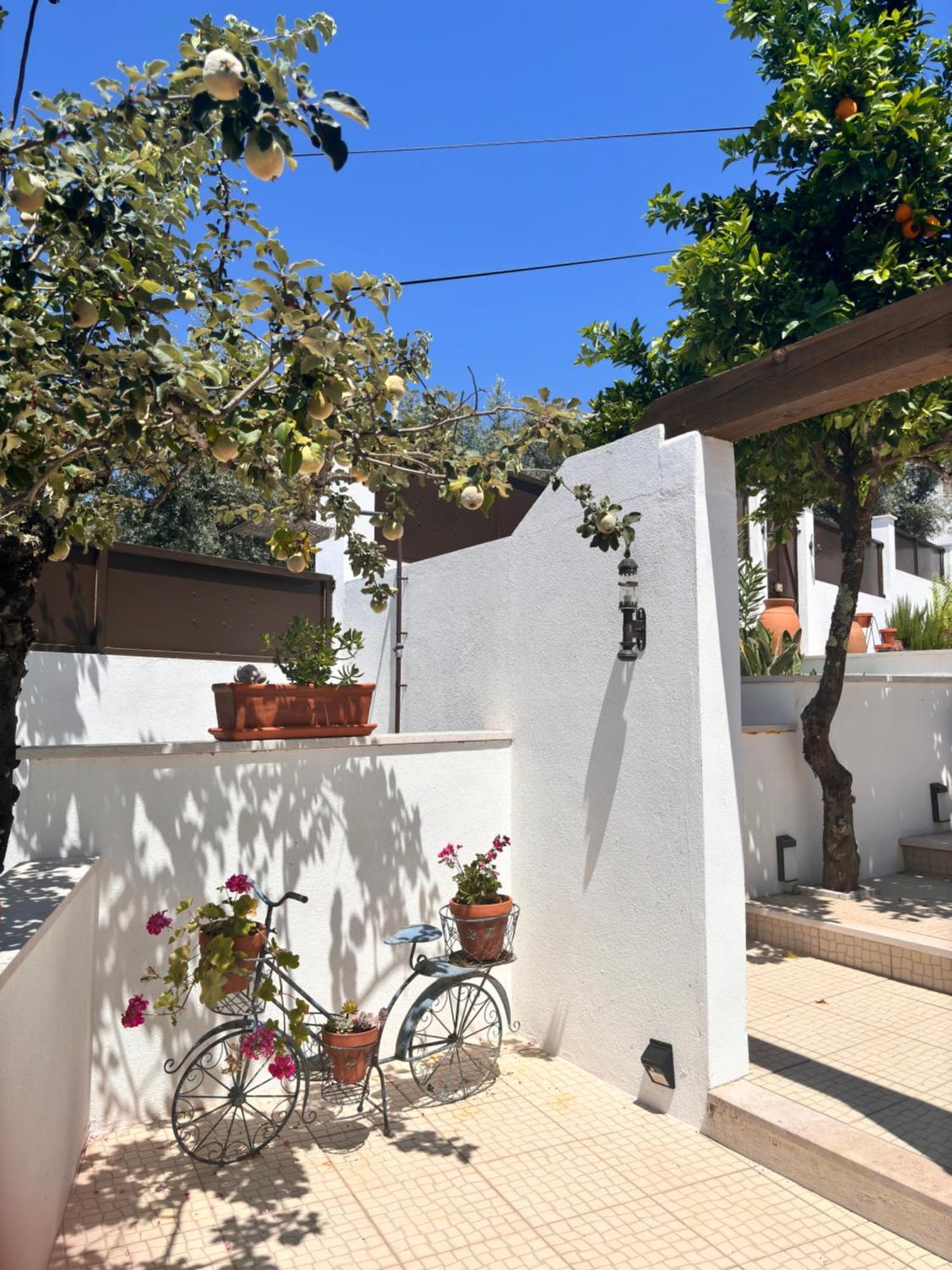 לינה וארוחת בוקר פדרוגאו גראנדה Casa Da Oliveira מראה חיצוני תמונה
